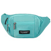 Polyester bumbag PETERSON PTN POM-S01
