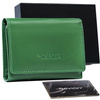 Leather wallet RFID 4U CAVALDI R-RD-17-GCL