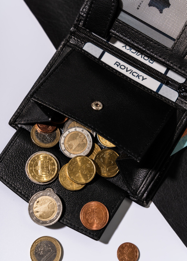 Leather wallet RFID ALWAYS WILD N4-GV