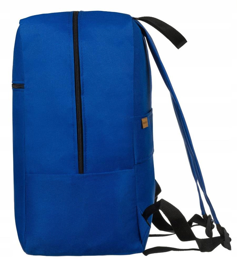 Polyester bagpack ROVICKY R-PLEC