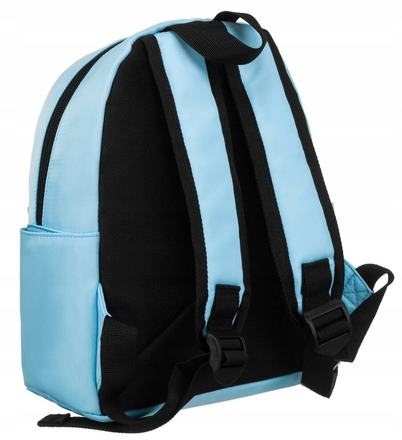 Polyester bagpack PETERSON PTN 79903