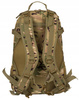 Polyester bagpack PETERSON BL076