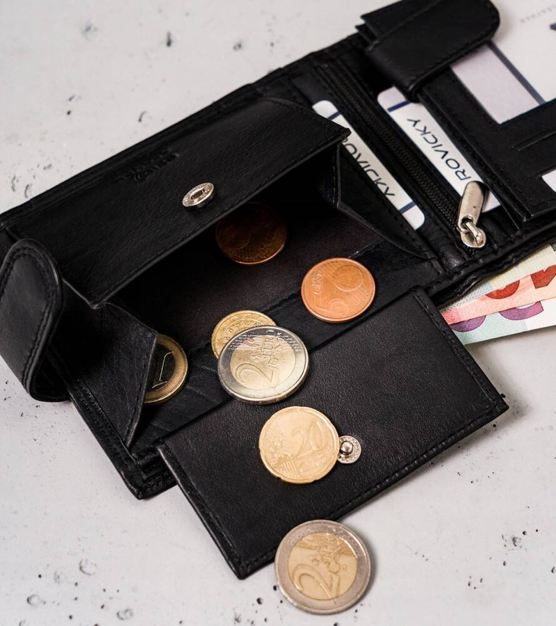 Leather wallet RFID ALWAYS WILD N992L-P-CCD-2-2726 B