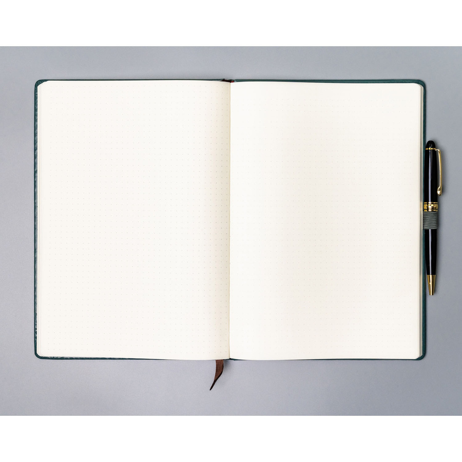 Notes w twardej oprawie w zielonym kolorze, w formacie B5 zadrukowany w kropki - Peterson